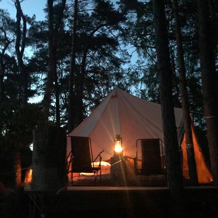 Värmdö Forest Glamping מראה חיצוני תמונה