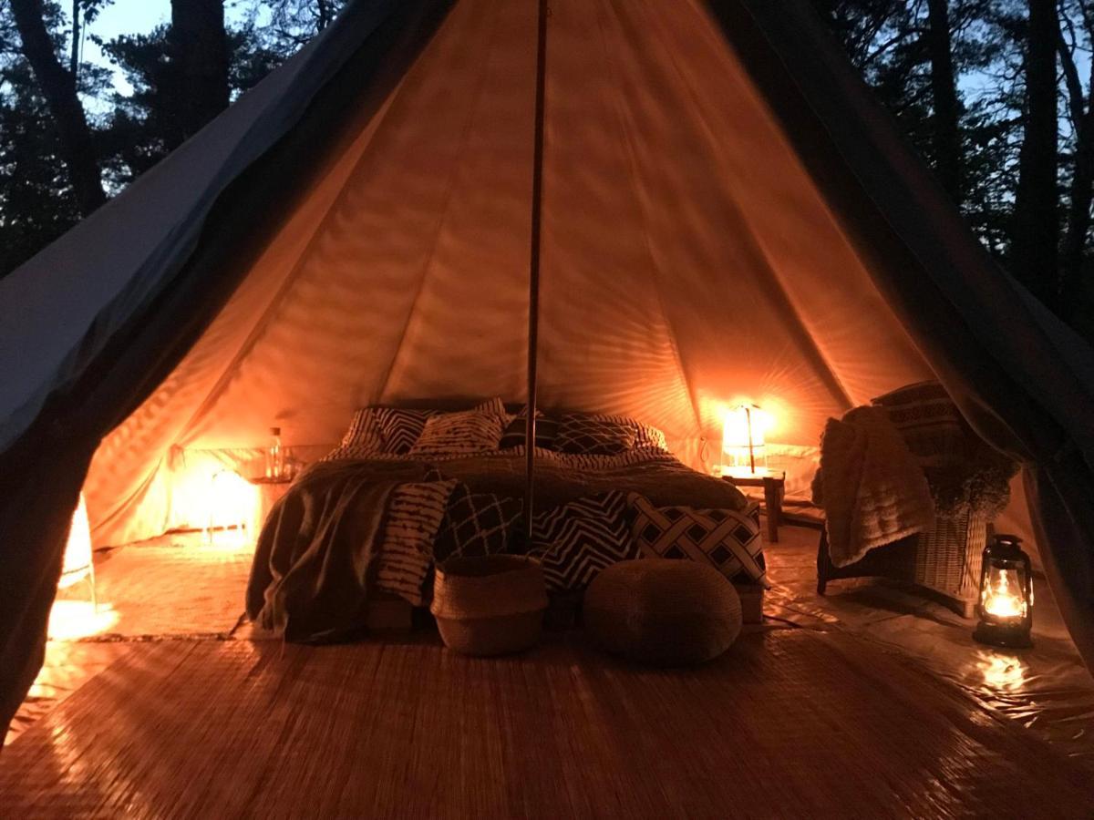 Värmdö Forest Glamping מראה חיצוני תמונה