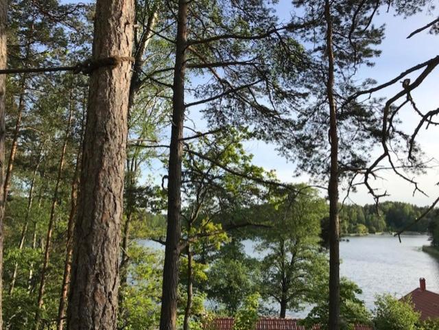 Värmdö Forest Glamping מראה חיצוני תמונה